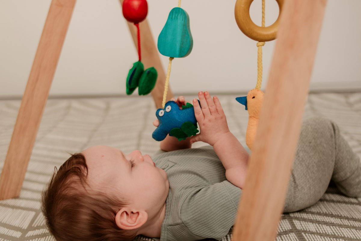 QToys Baby Gym