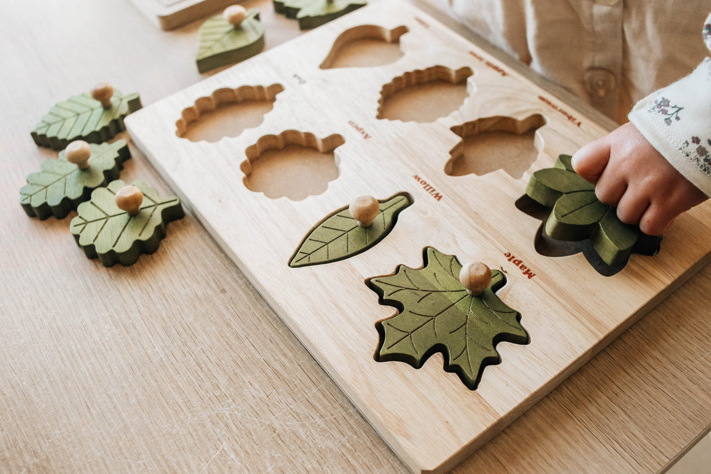 QToys Leaf Puzzle