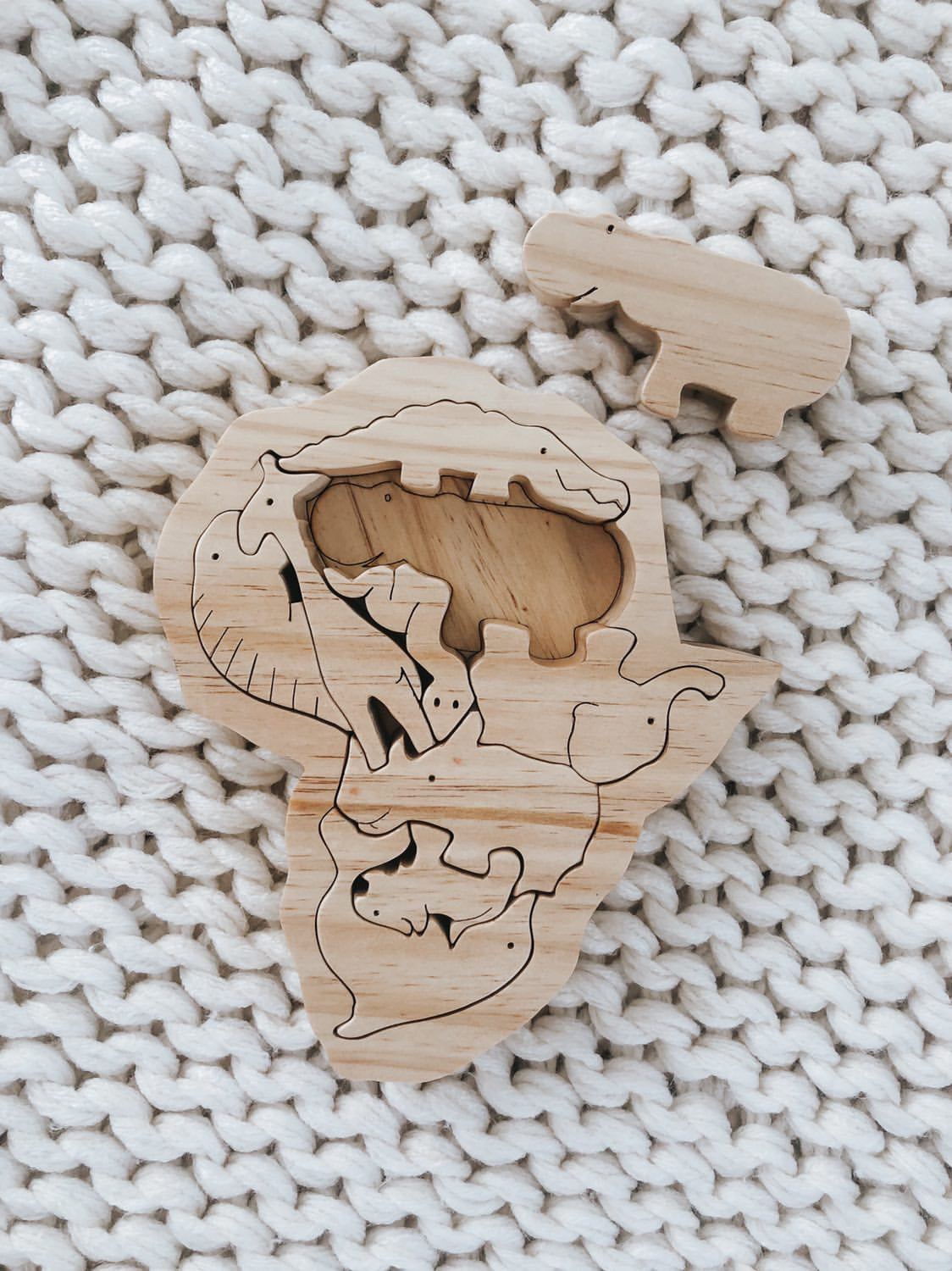 African Animals Wooden Puzzle