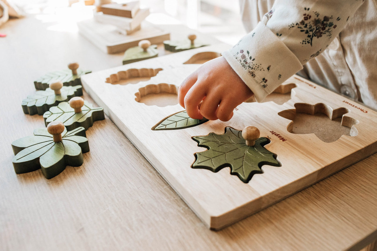 QToys Leaf Puzzle