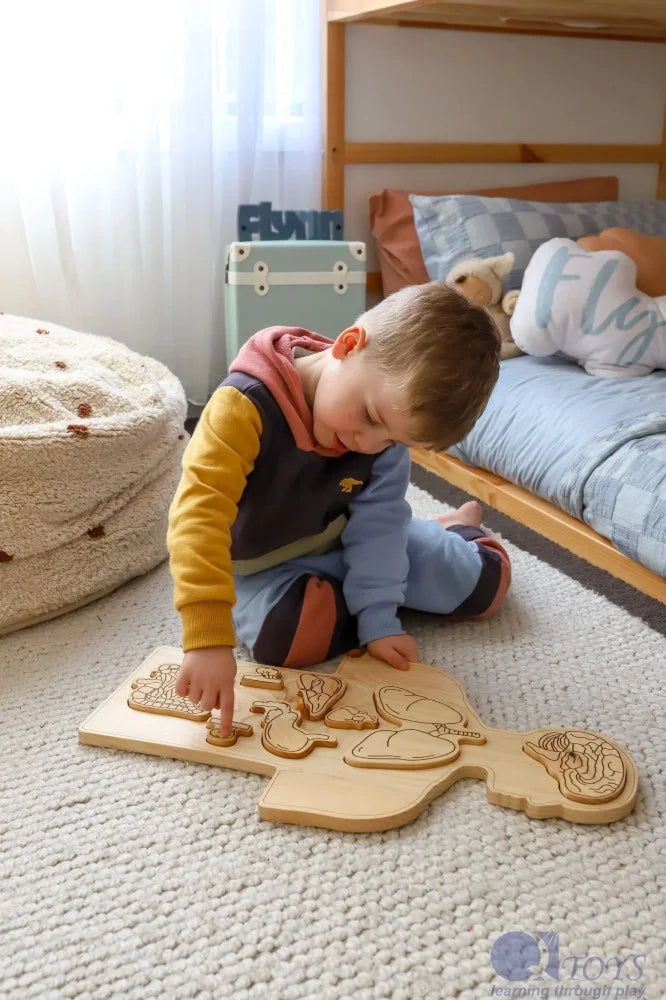 QToys Wooden Anatomy Puzzle