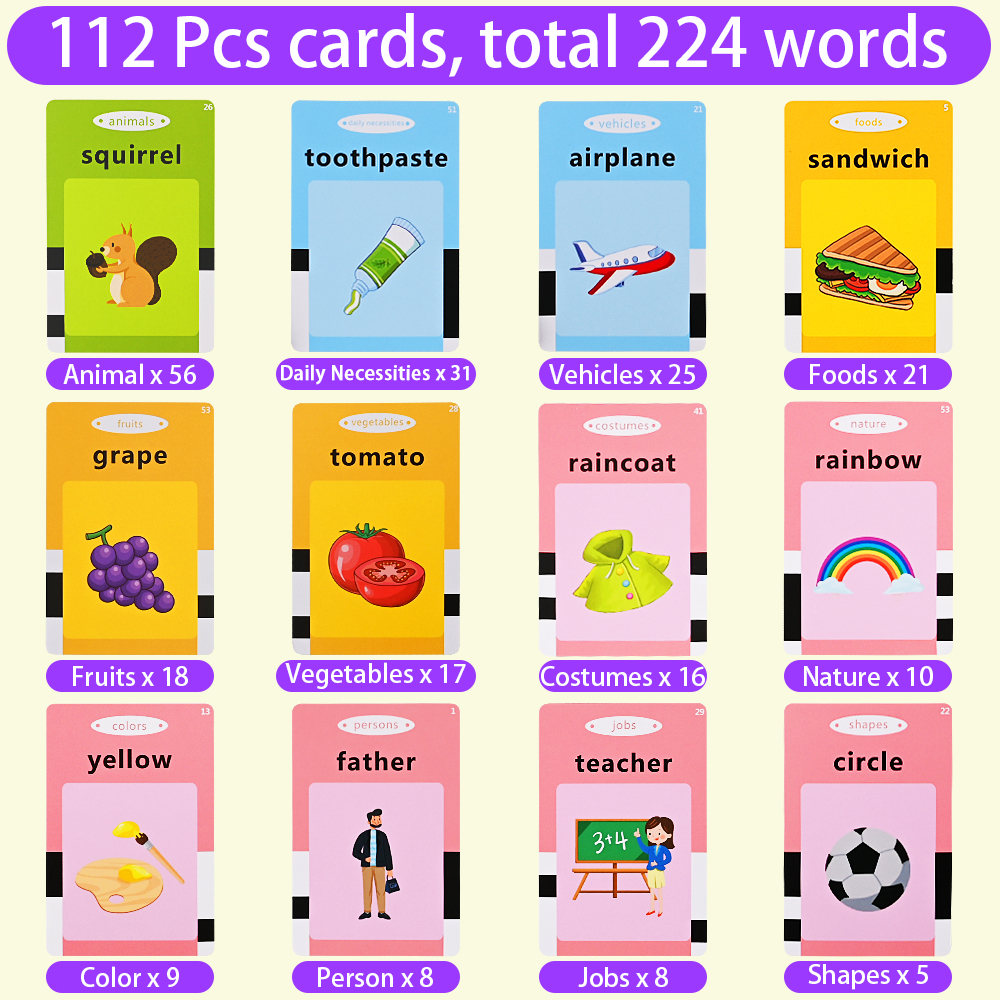 224-Piece Talking Flash Cards