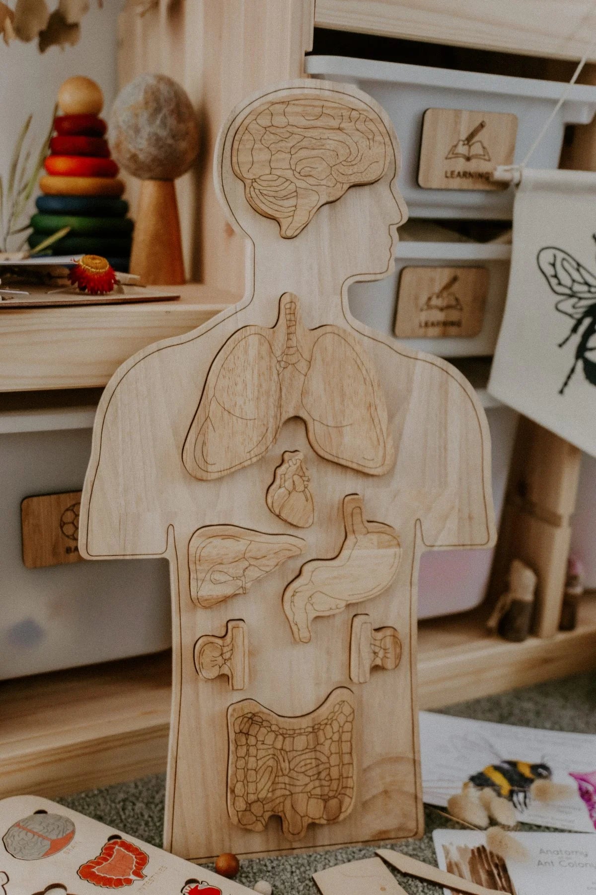 QToys Wooden Anatomy Puzzle