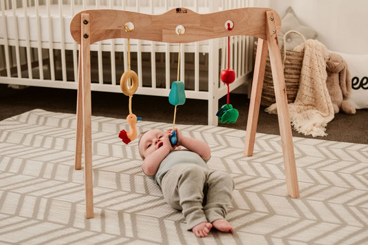 QToys Baby Gym